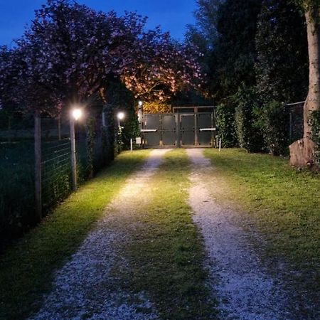 La Casina Apartament Φεράρα Εξωτερικό φωτογραφία